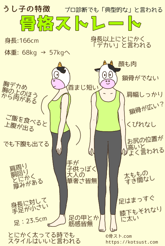 骨格ストレートウシ子